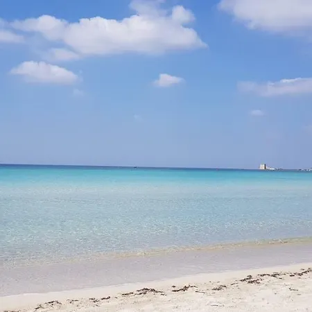 Viola * Torre Lapillo