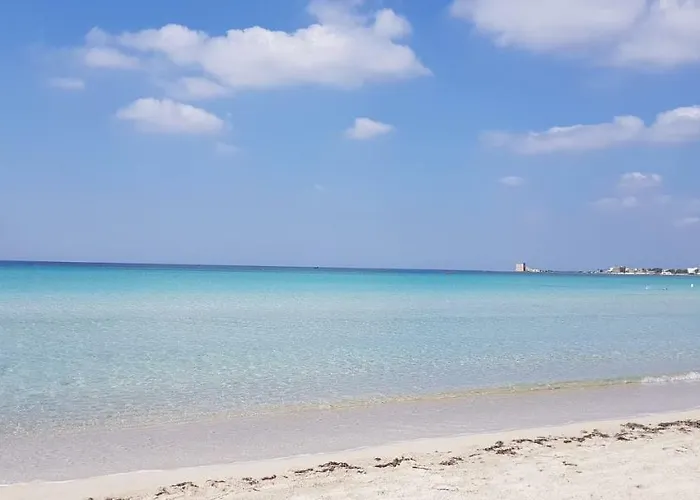 Viola * Torre Lapillo